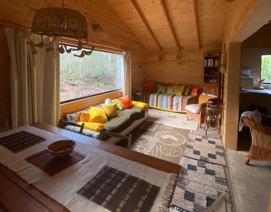 Cabana Bosque Viejo Villa Las Trancas Exterior foto