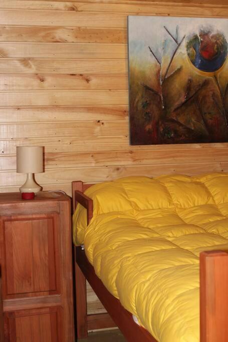 Cabana Bosque Viejo Villa Las Trancas Exterior foto